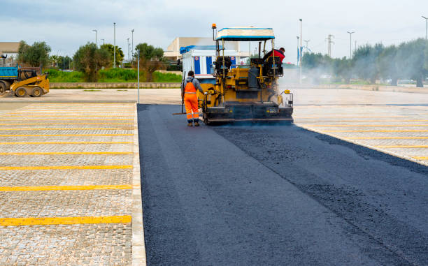 Best Local Driveway Pavers  in Farmville, NC